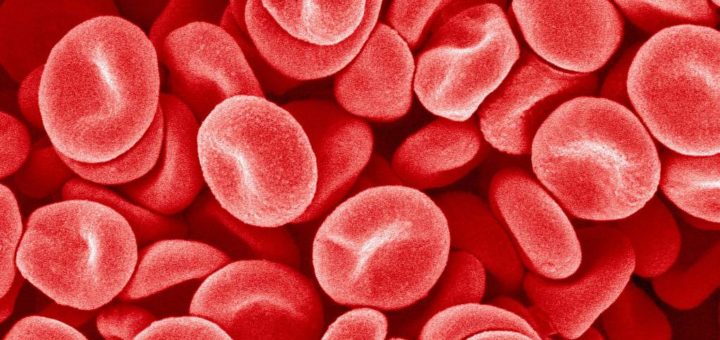 Как снизить уровень тромбоцитов в крови — Полезная информация