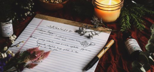 Что такое алкалоиды в растениях и как их извлечь — Полезная информация