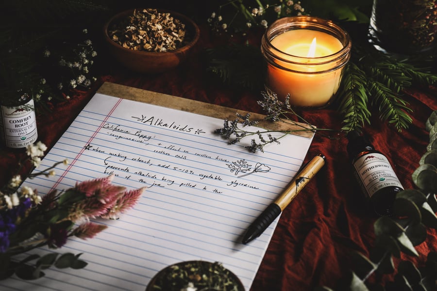 Записная книжка с заметками об алкалоидах.